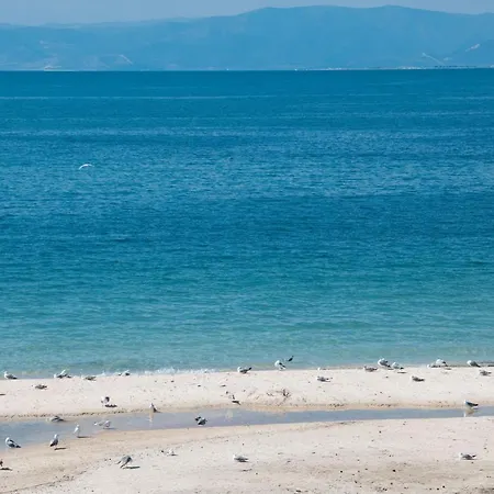Argyri's Sea View * タソス